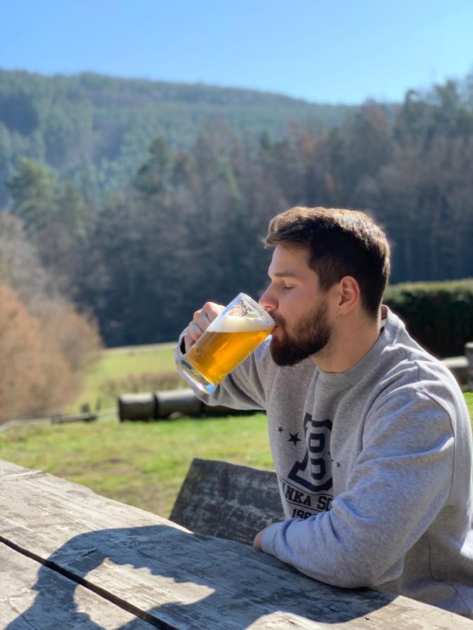 Penzion Pod Kaplickou Tisnov Buitenkant foto